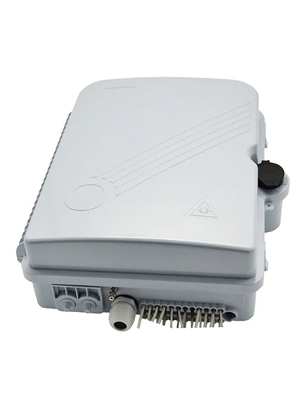 Fiber to the home(FTTH)