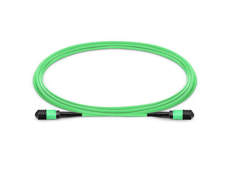 MPO MTP OM5  8-12 core 3.0mm Trunk fiber optic patch cord