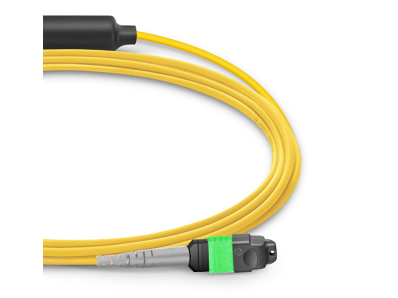 1-24 MPO MTP-3-8 MPO MTP SM 24 cores Trunk fiber optic patch cord