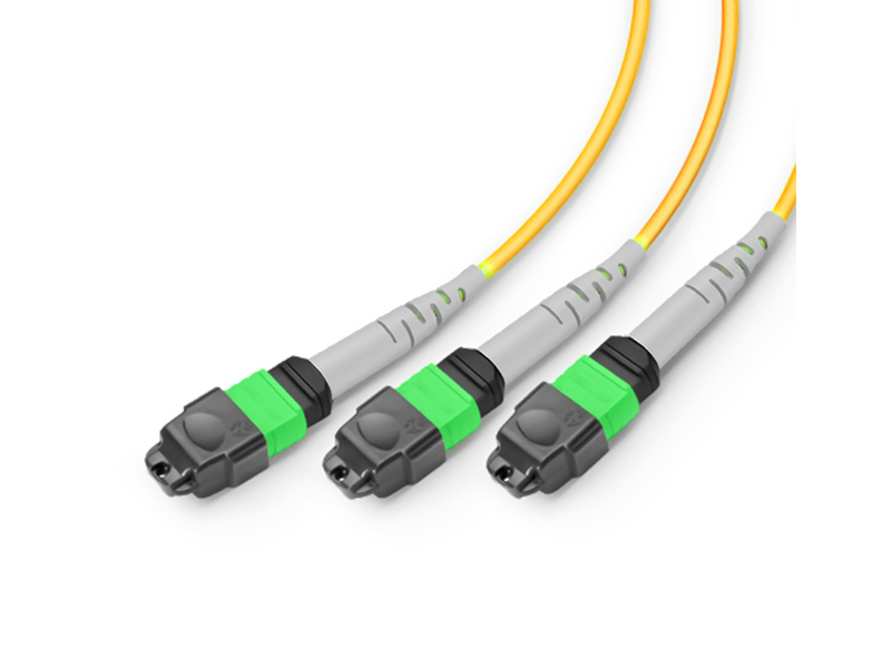 1-24 MPO MTP-3-8 MPO MTP SM 24 cores Trunk fiber optic patch cord