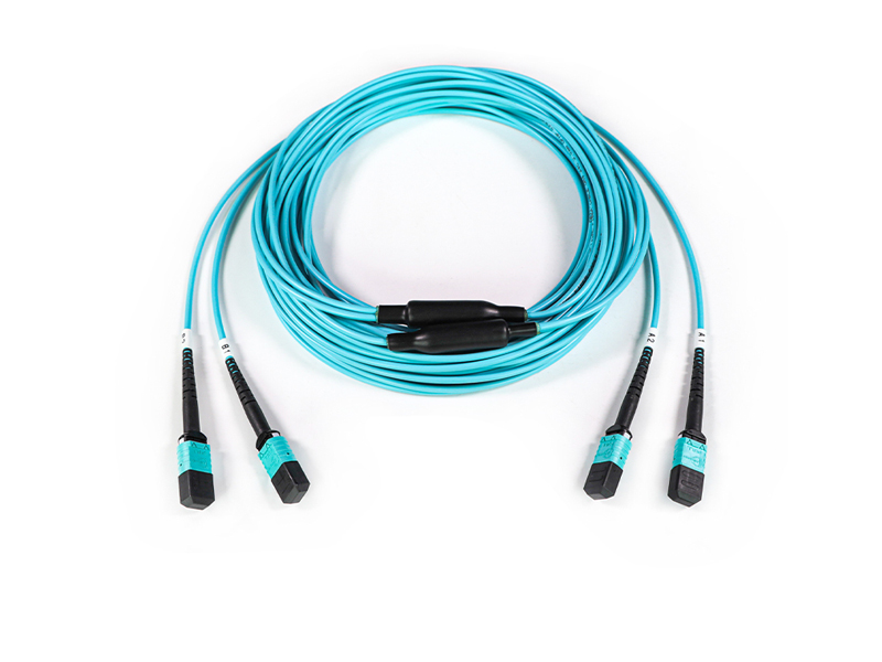 2-12 MPO MTP OM3  24 core 3.0mm Trunk fiber optic patch cord