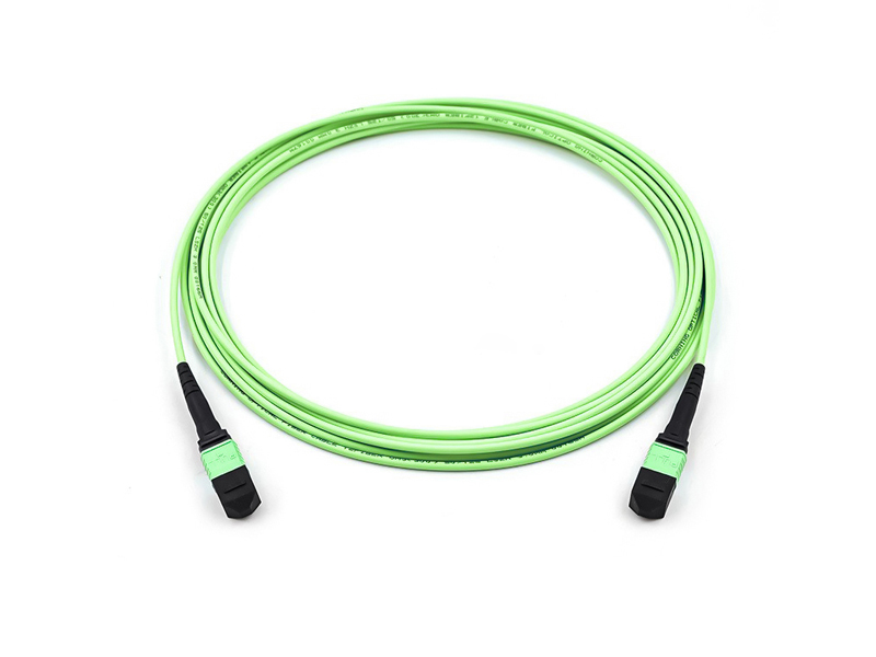 MPO MTP OM5  8-12 core 3.0mm Trunk fiber optic patch cord