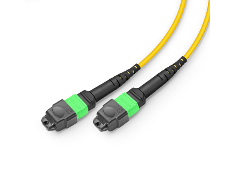 1-24 MPO MTP-2-12 MPO MTP SM 24 cores Trunk fiber optic patch cord