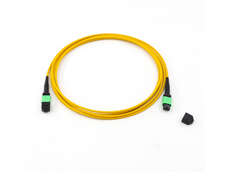 MPO MTP SM  8-12 core 3.0mm Trunk fiber optic patch cord