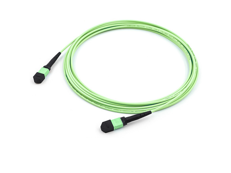 MPO MTP OM5  8-12 core 3.0mm Trunk fiber optic patch cord