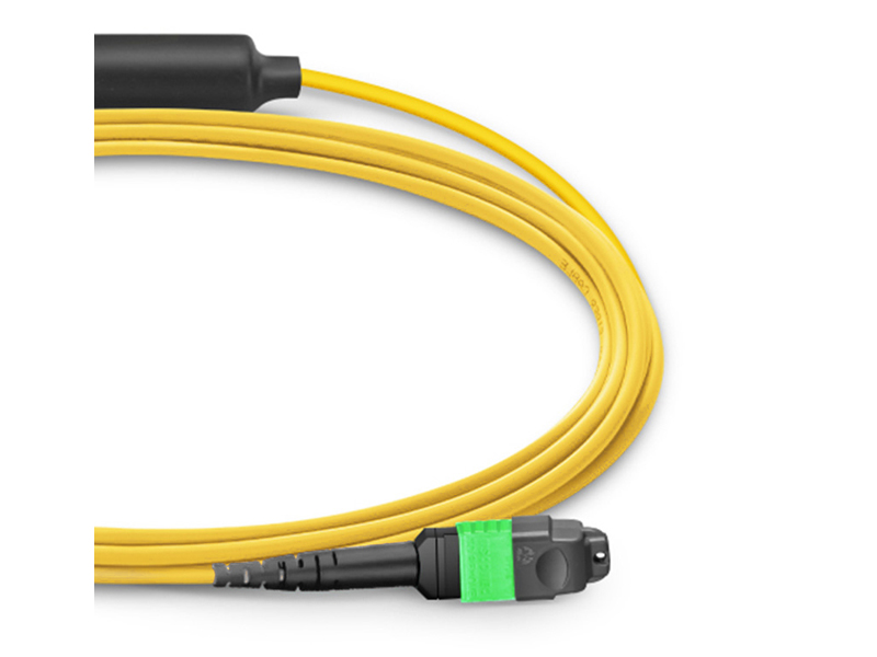 1-24 MPO MTP-2-12 MPO MTP SM 24 cores Trunk fiber optic patch cord