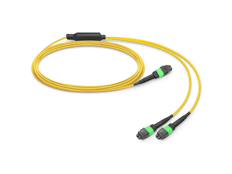 1-24 MPO MTP-2-12 MPO MTP SM 24 cores Trunk fiber optic patch cord