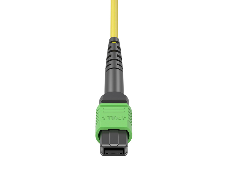 MPO/APC Female-6x DLC Singlemode (SM) 12 Cores MPO/MTP Harnesses fanout Patch Cords