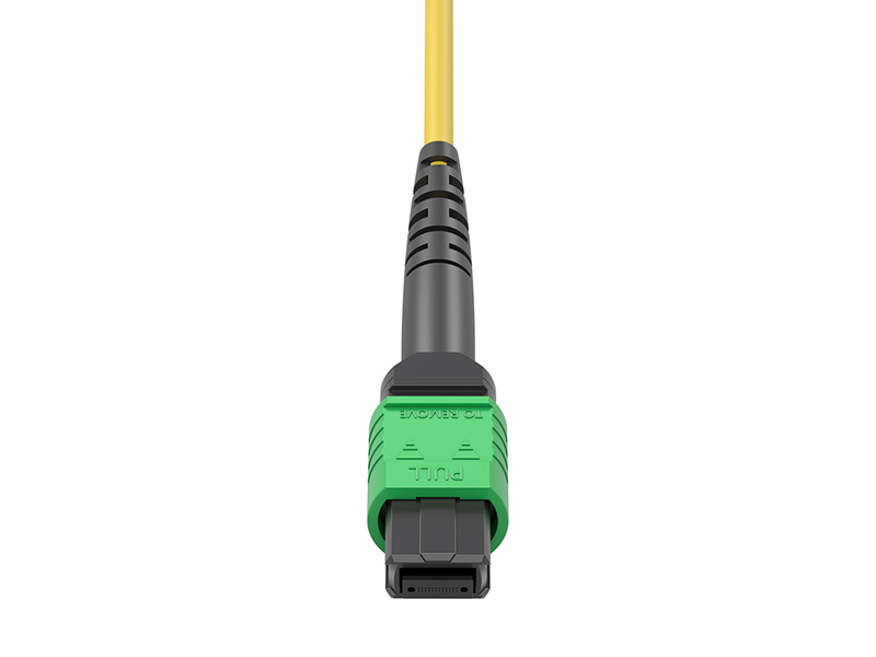 MPO/APC Female-12x DLC Singlemode (SM) 24 Cores MPO/MTP Harnesses fanout Patch Cords