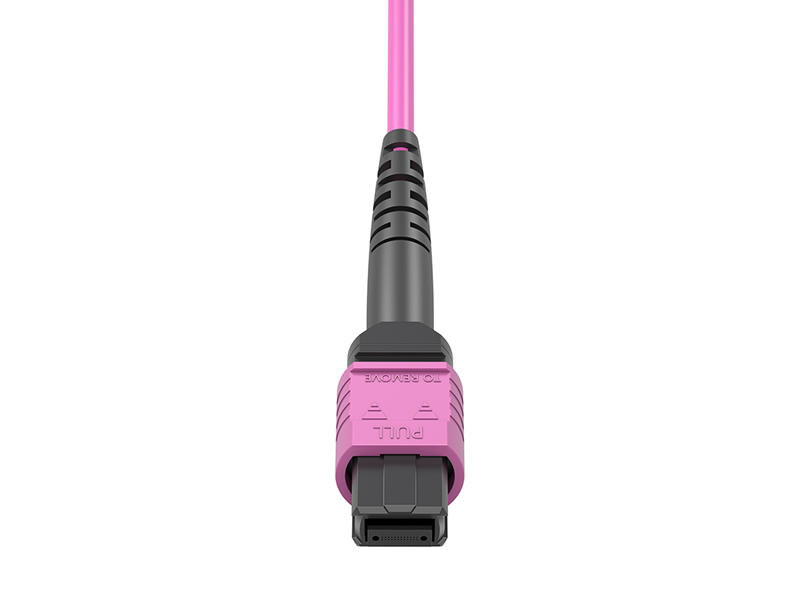 MPO/APC Female-12x DLC OM4 24 Cores MPO/MTP Harnesses fanout Patch Cords