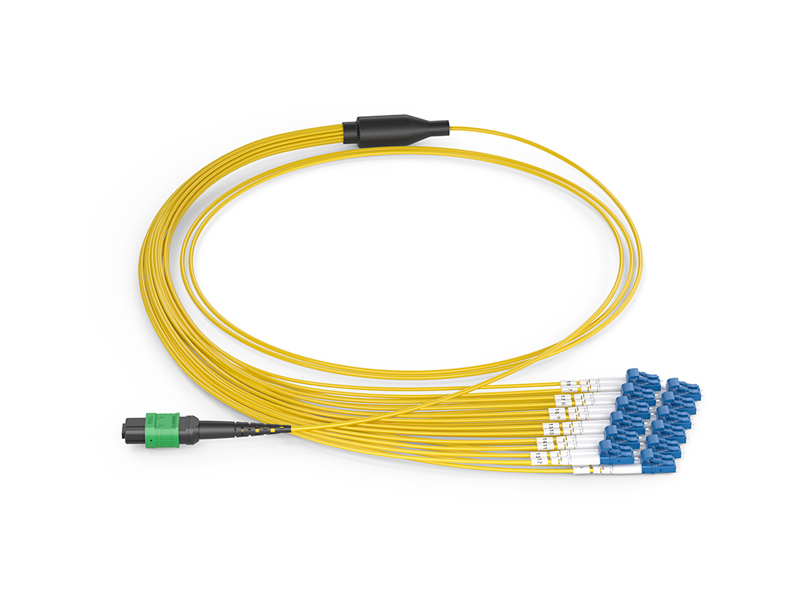 MPO/APC Female-12x DLC Singlemode (SM) 24 Cores MPO/MTP Harnesses fanout Patch Cords