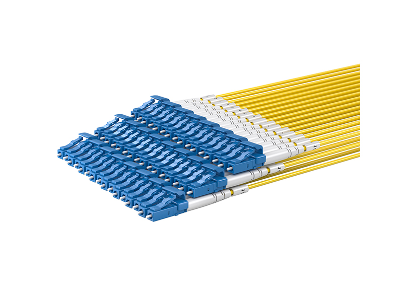 MPO/APC Female-12x DLC Singlemode (SM) 24 Cores MPO/MTP Harnesses fanout Patch Cords
