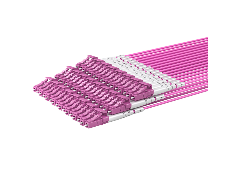 MPO/APC Female-12x DLC OM4 24 Cores MPO/MTP Harnesses fanout Patch Cords