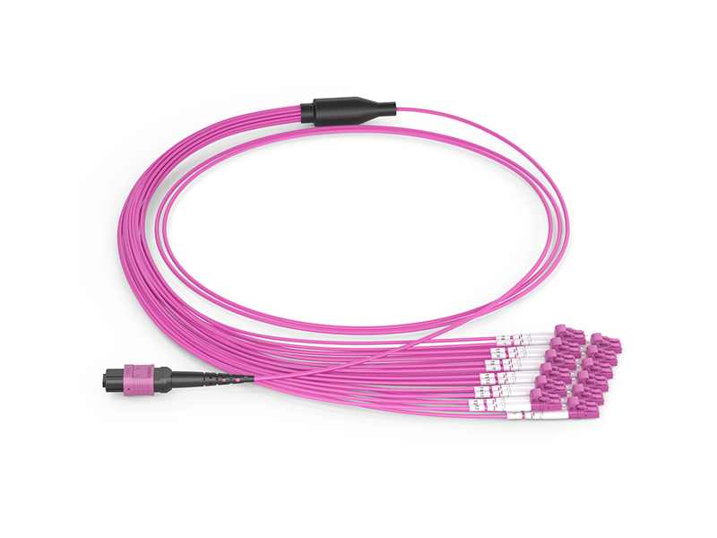 MPO/APC Female-12x DLC OM4 24 Cores MPO/MTP Harnesses fanout Patch Cords